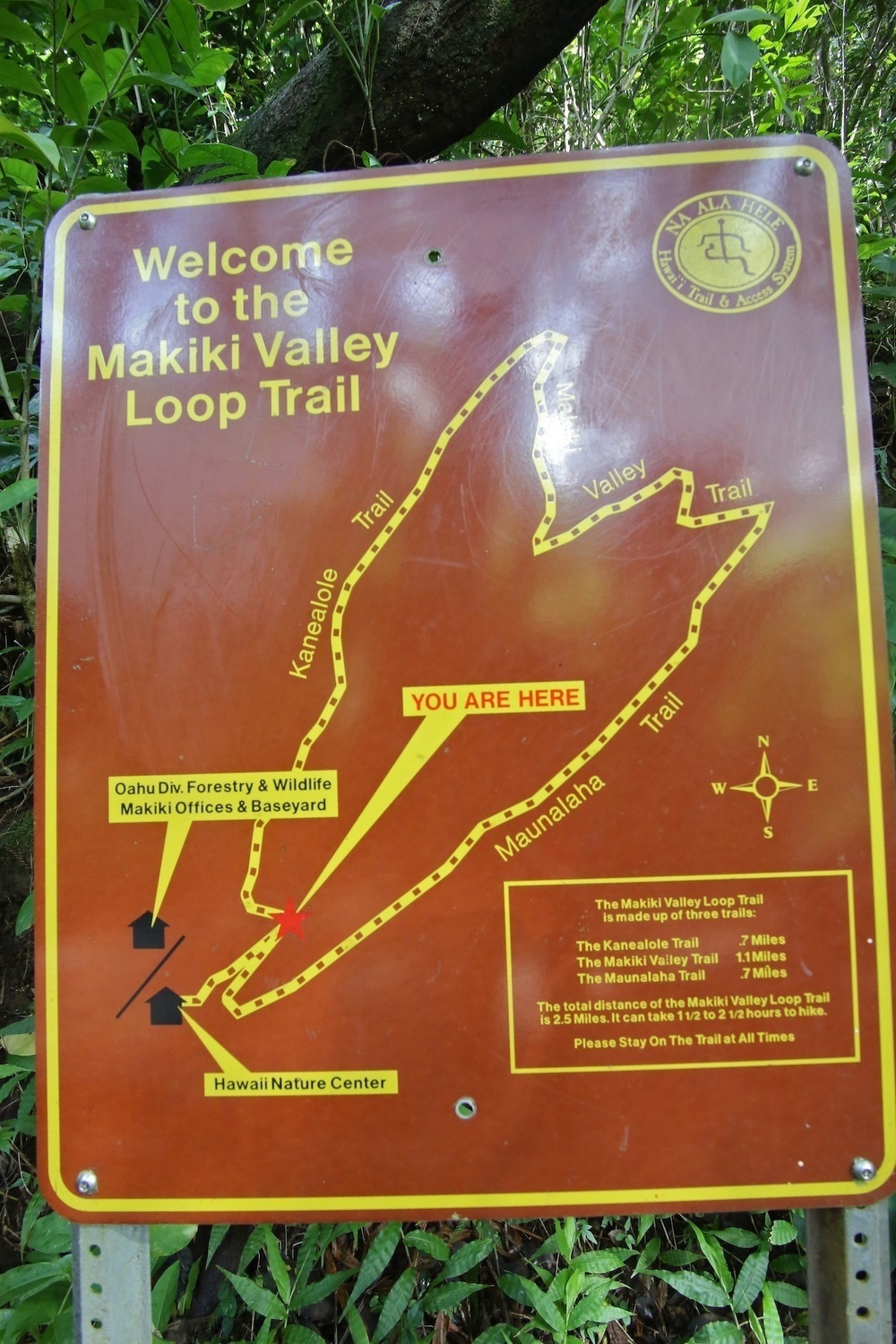 街から行ける♪マキキ・バレー・ループ・トレイルの写真4