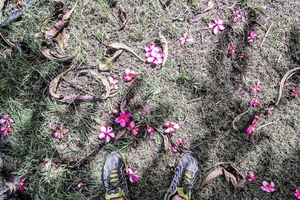 街から行ける♪マキキ・バレー・ループ・トレイルの写真5