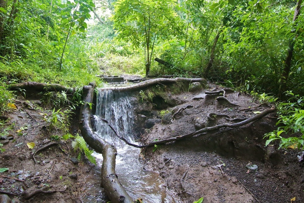 街から行ける♪マキキ・バレー・ループ・トレイルの写真11