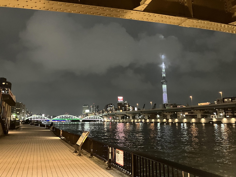 隅田川ナイトランの写真8