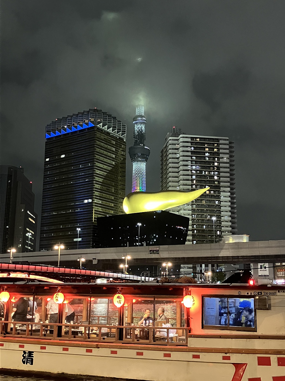 隅田川ナイトランの写真11