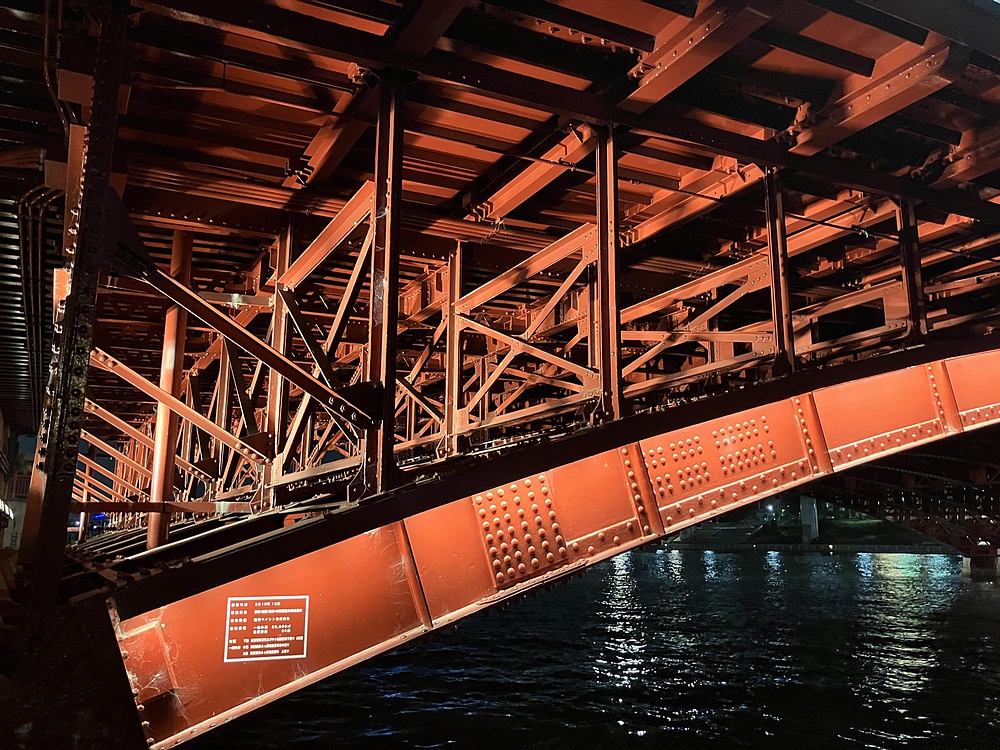 隅田川ナイトランの写真13