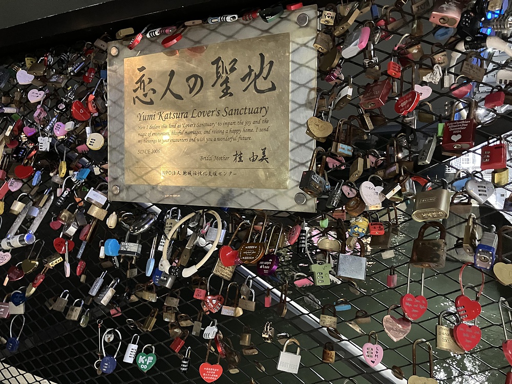 隅田川ナイトランの写真16