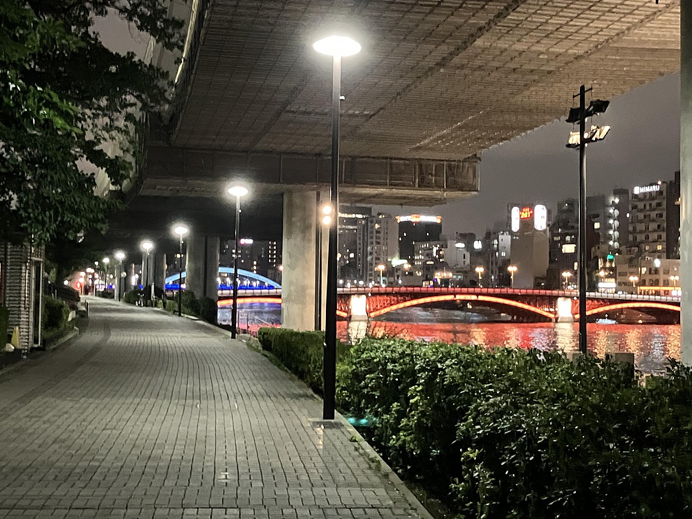 隅田川ナイトランの写真19