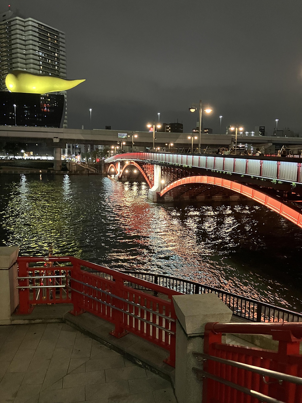 隅田川ナイトランの写真21