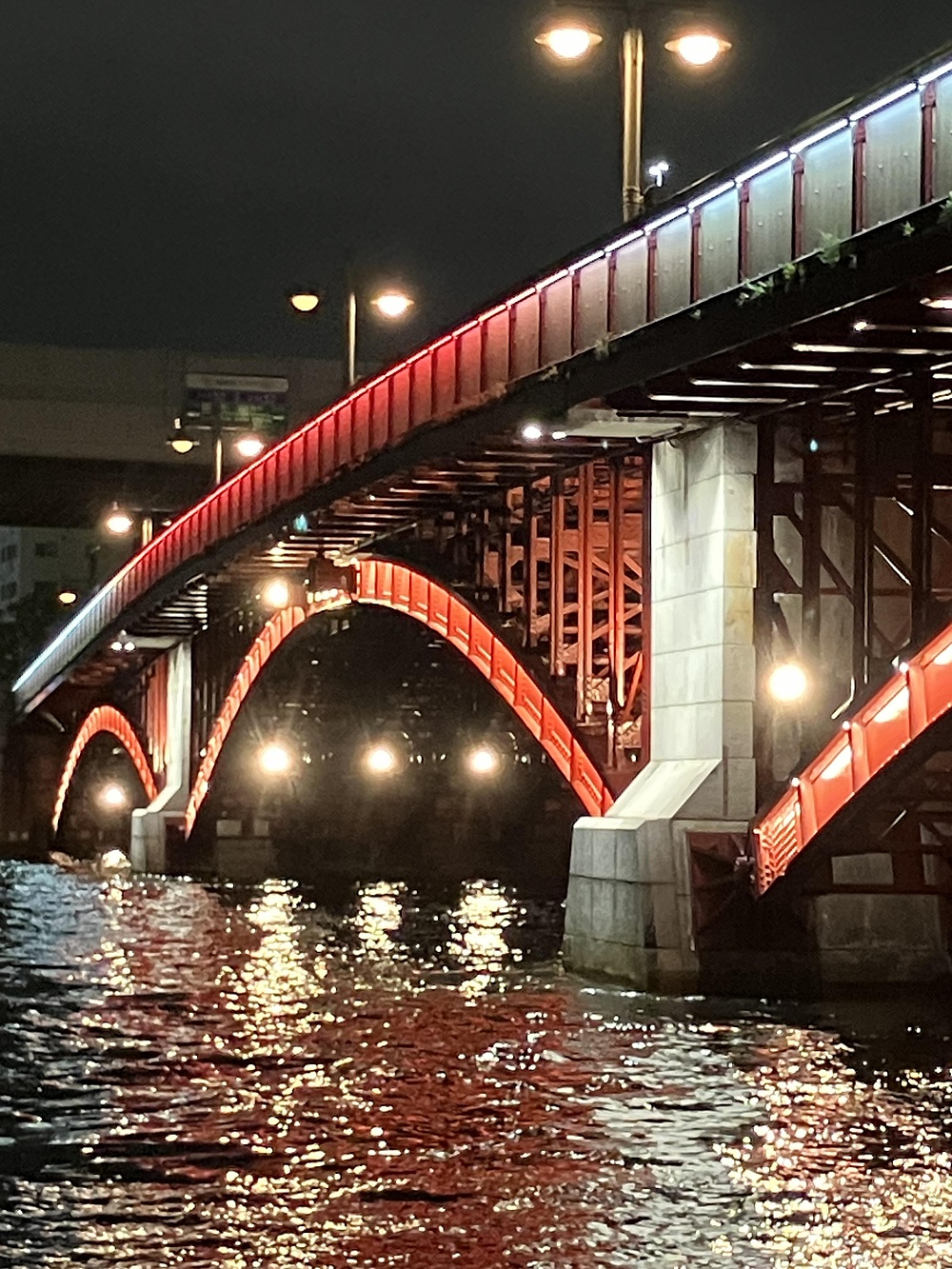 隅田川ナイトランの写真22