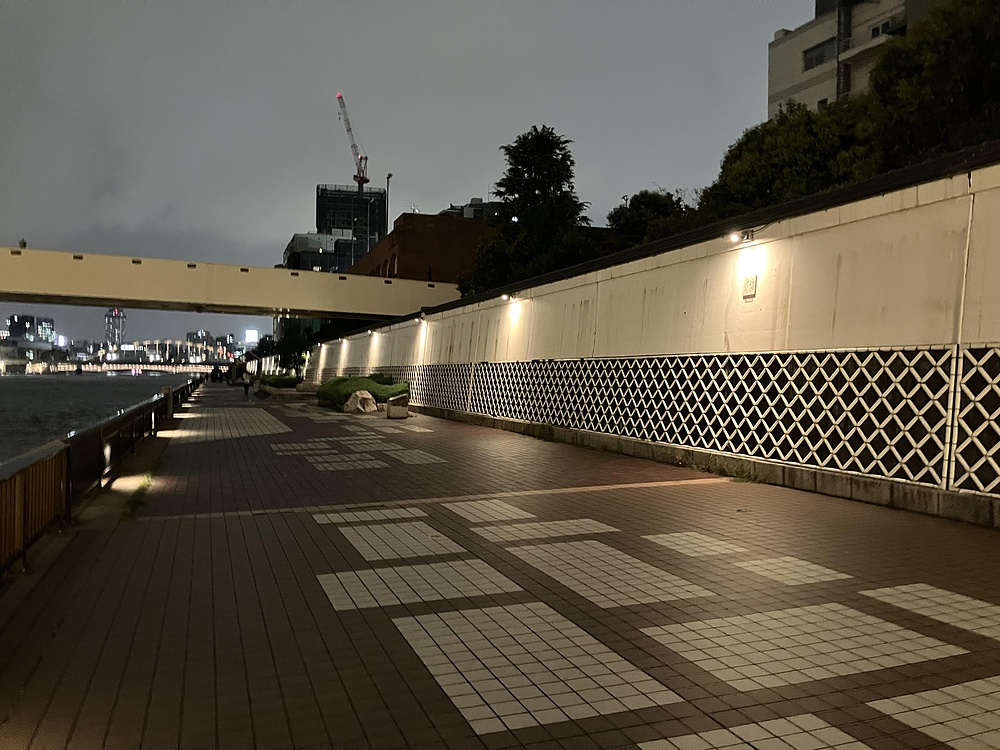 隅田川ナイトランの写真24