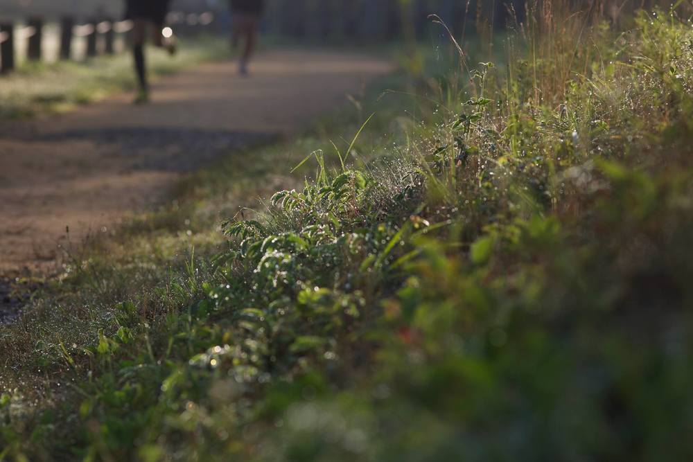 世界が認めた日和田ハイランド陸上競技場の写真7