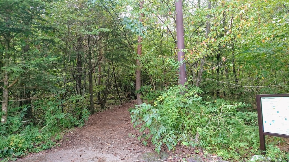 西湖から精進湖を目指して走るリトリートRUNの写真4