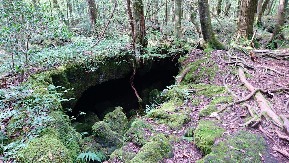 西湖から精進湖を目指して走るリトリートRUNの写真6