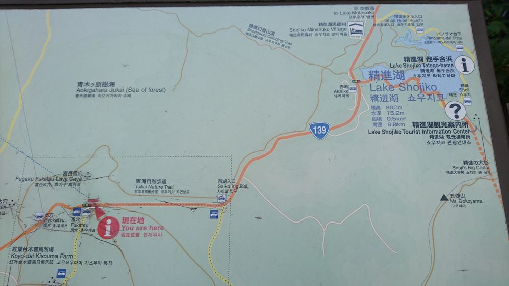 西湖から精進湖を目指して走るリトリートRUNの写真13