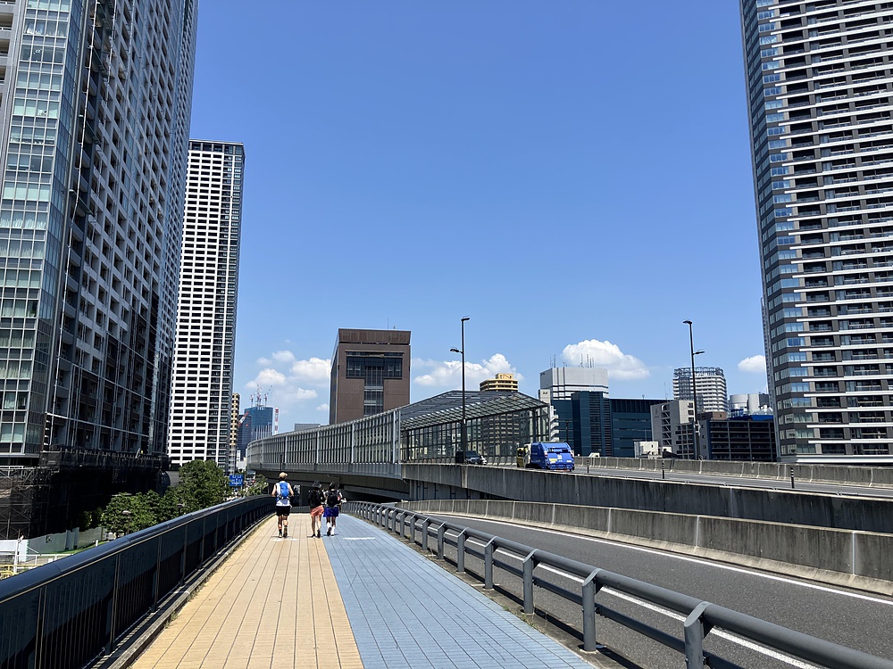 レインボーブリッジと海鮮丼の写真13