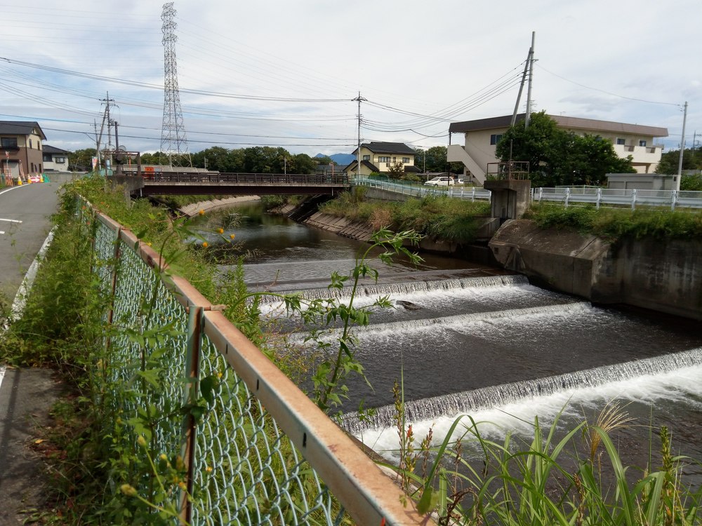 群馬顔マラソンの写真3