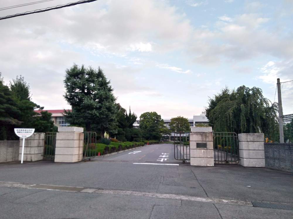 群馬顔マラソンの写真7