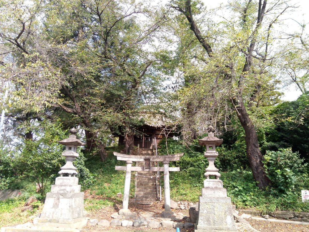 群馬顔マラソンの写真11