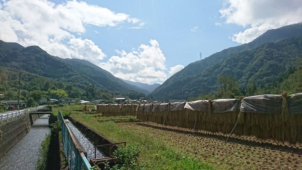 地元民に愛される清流を目指すヒルクライムの写真4