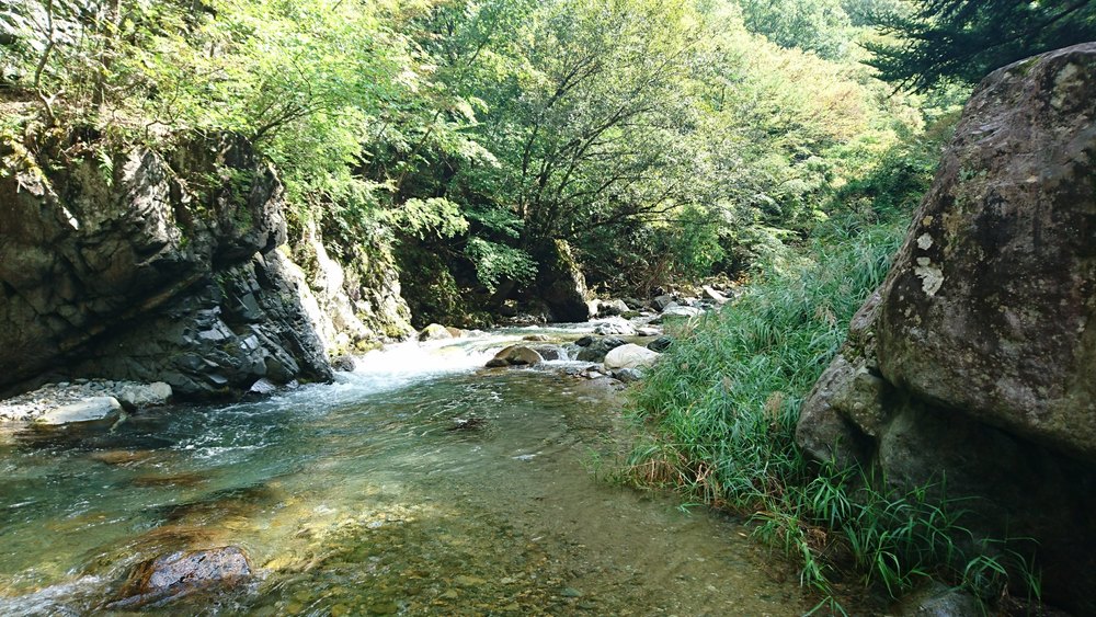 地元民に愛される清流を目指すヒルクライムの写真9