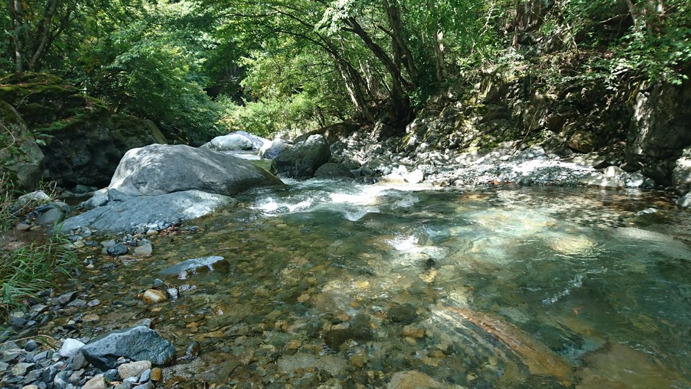 地元民に愛される清流を目指すヒルクライムの写真10