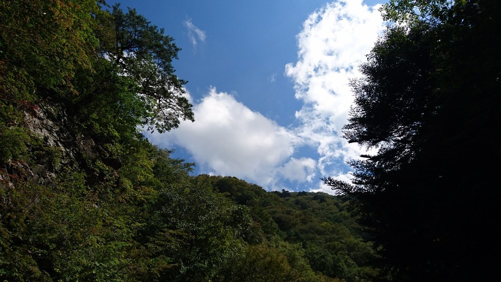 地元民に愛される清流を目指すヒルクライムの写真11