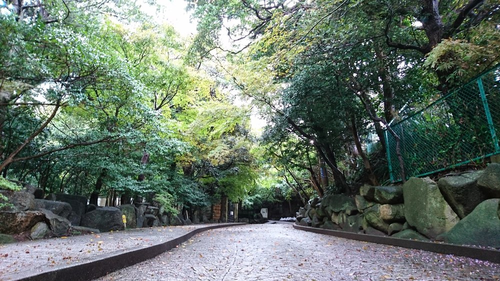 Pacific RUNTRIP-INの写真3