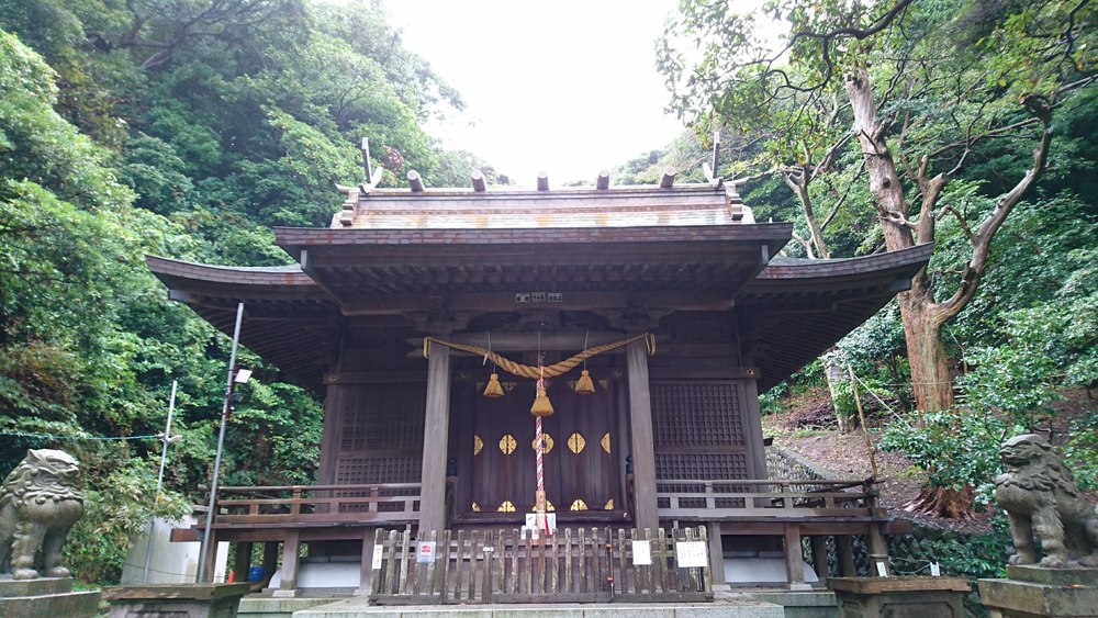 Pacific RUNTRIP-INの写真6