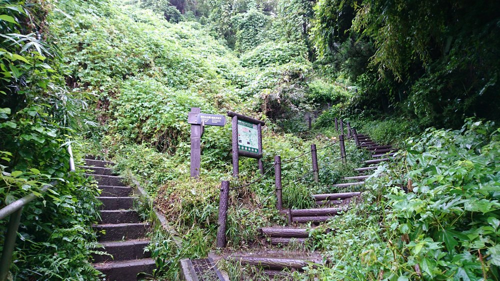 Pacific RUNTRIP-INの写真9