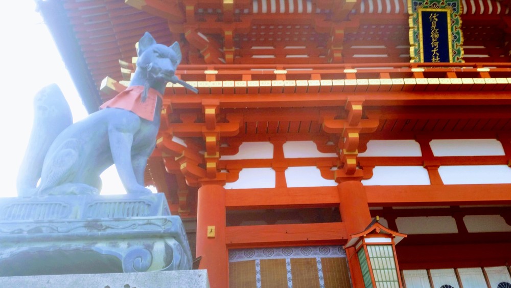 【出張朝ラン】京都寺社巡り周回30kの写真6