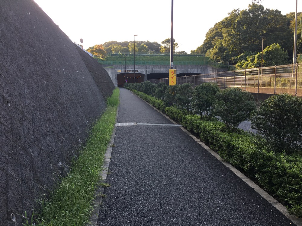 多摩丘陵よこやまの道〜モノレール沿いに昭島の富士見湯ゴールのロングランの写真3