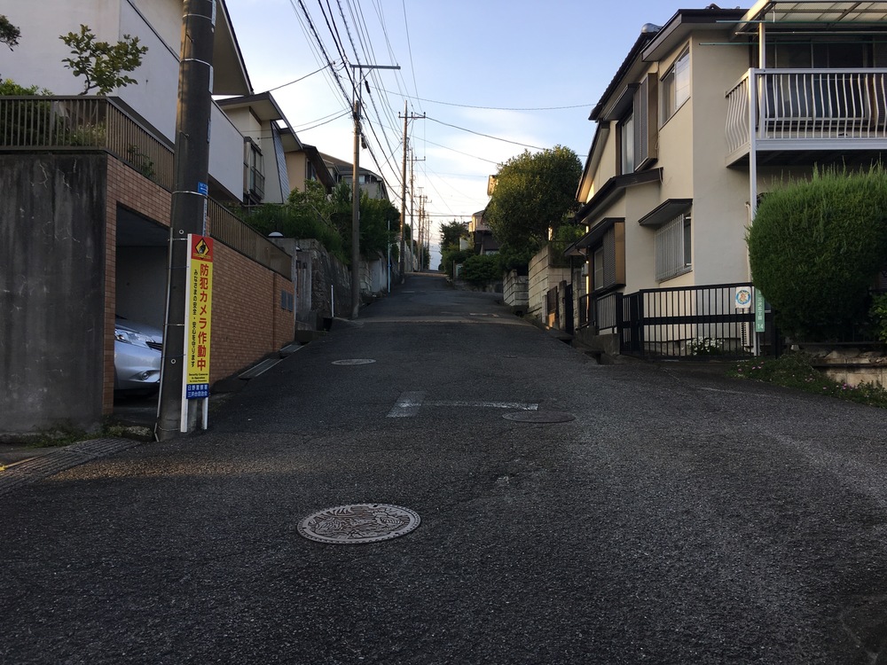 多摩丘陵よこやまの道〜モノレール沿いに昭島の富士見湯ゴールのロングランの写真5
