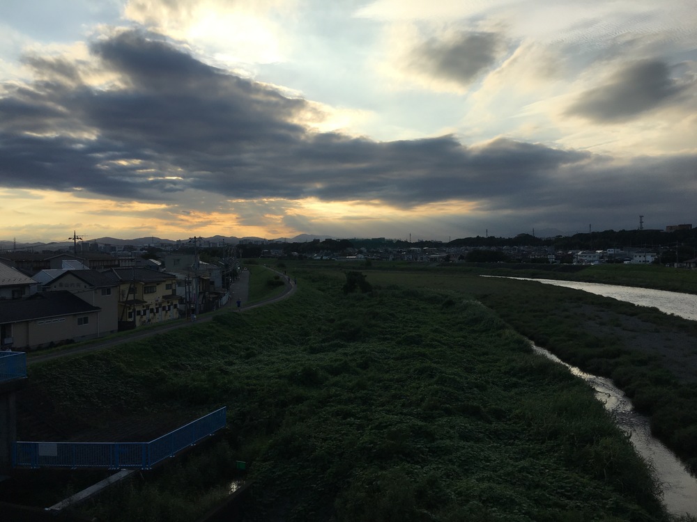 多摩丘陵よこやまの道〜モノレール沿いに昭島の富士見湯ゴールのロングランの写真7