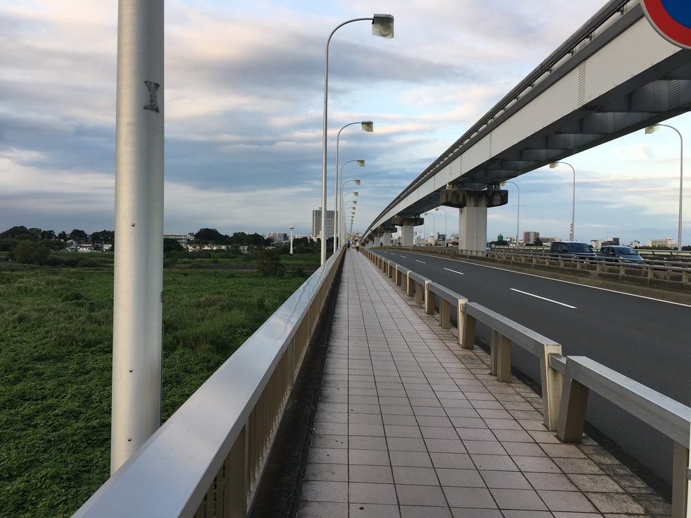 多摩丘陵よこやまの道〜モノレール沿いに昭島の富士見湯ゴールのロングランの写真8