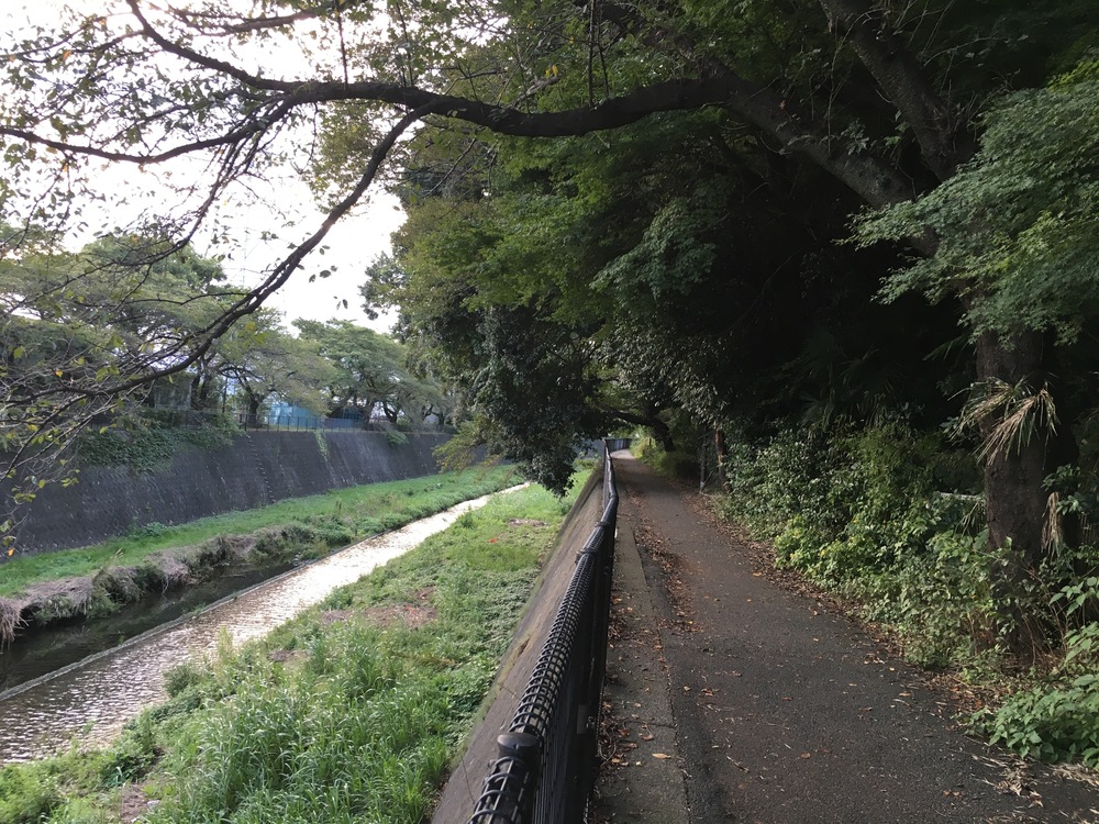 多摩丘陵よこやまの道〜モノレール沿いに昭島の富士見湯ゴールのロングランの写真9