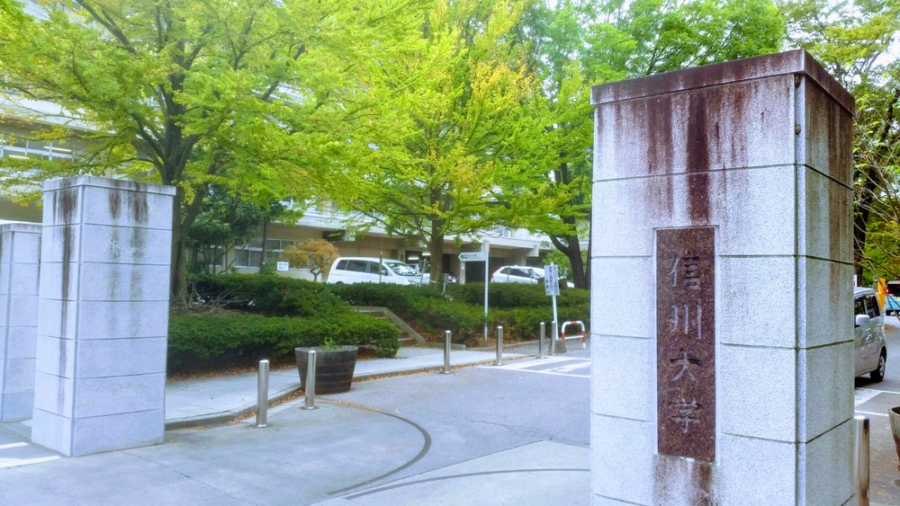 【出張朝ラン】信州松本 ドラマ白線流し聖地巡りラン15kの写真5