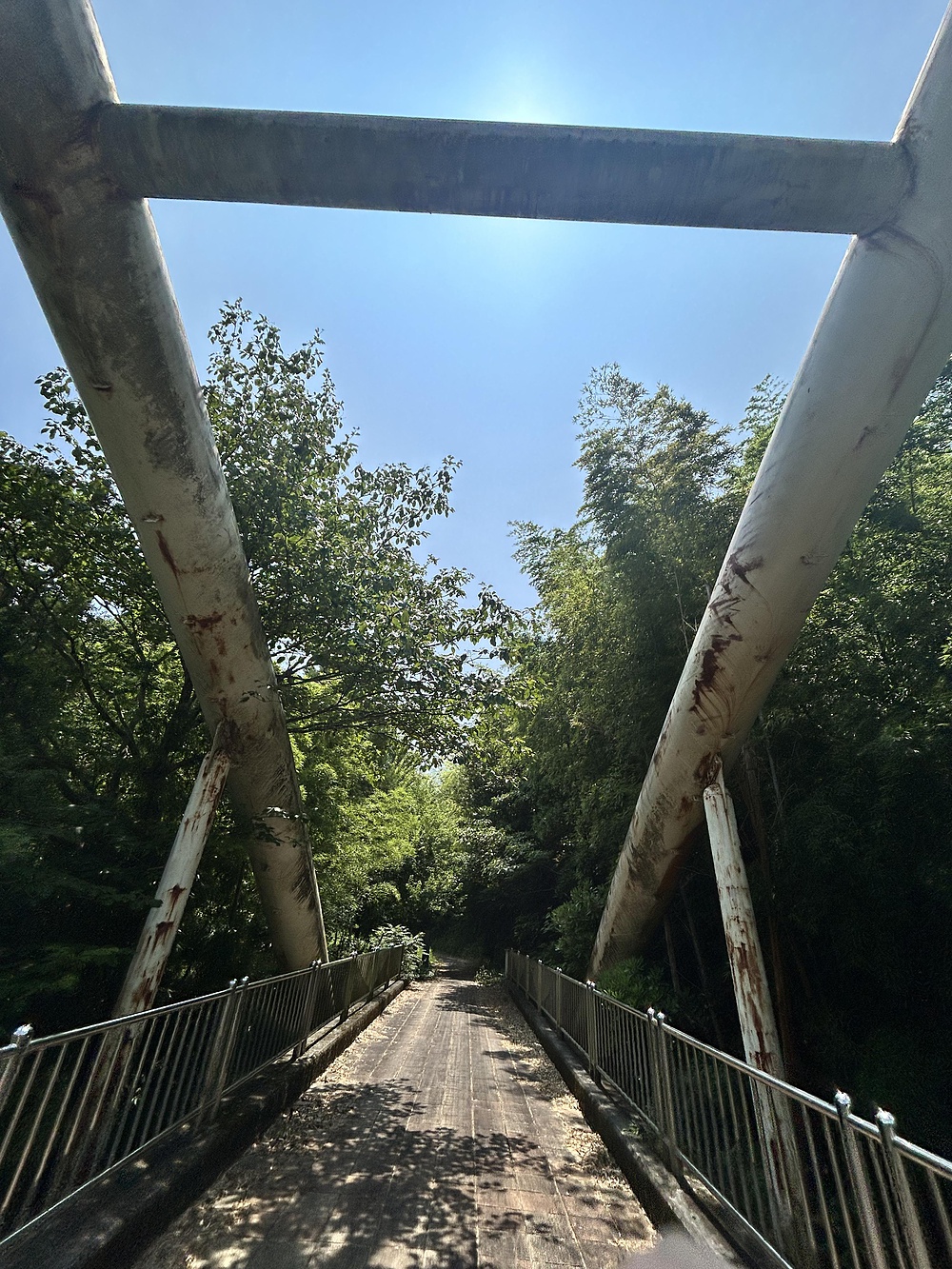 暑い夏の昼間でも走れますの写真3