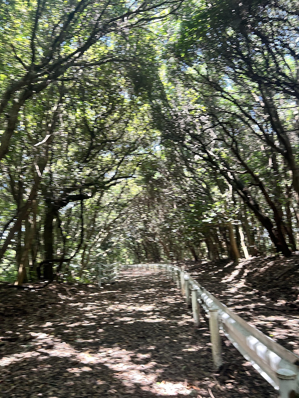 暑い夏の昼間でも走れますの写真4