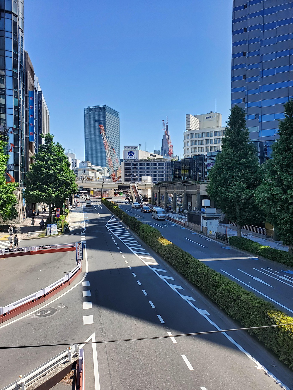 すみだからくにたち大学通りの写真5
