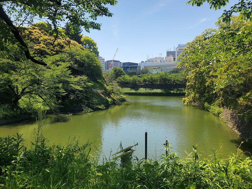 すみだからくにたち大学通りの写真8