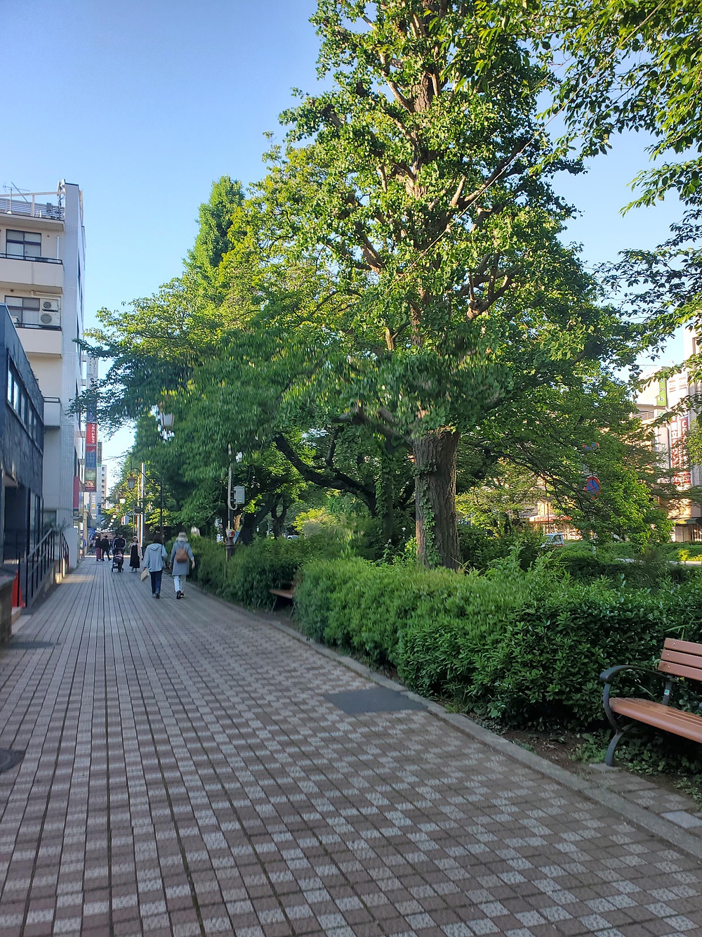 すみだからくにたち大学通りの写真10