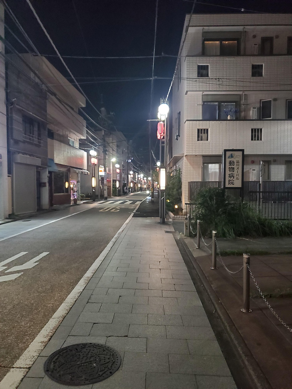 すみだから葉山の写真4