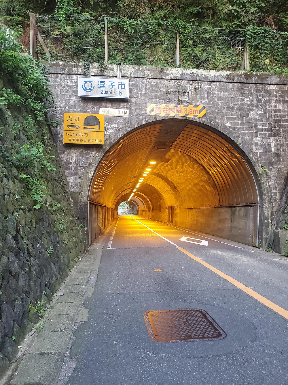 すみだから葉山の写真10