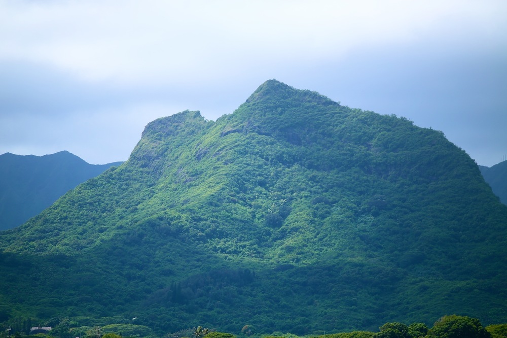 カイルアの秘境・カワイヌイ湿地の写真3