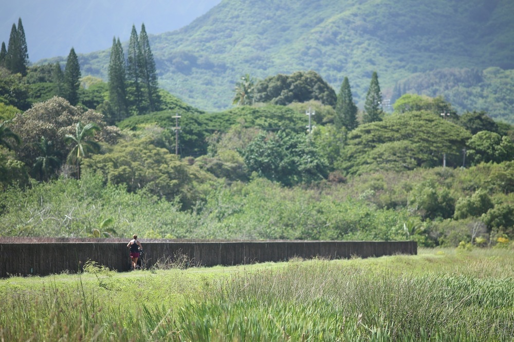カイルアの秘境・カワイヌイ湿地 ラントリップ