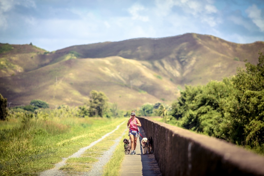 カイルアの秘境・カワイヌイ湿地 ラントリップ