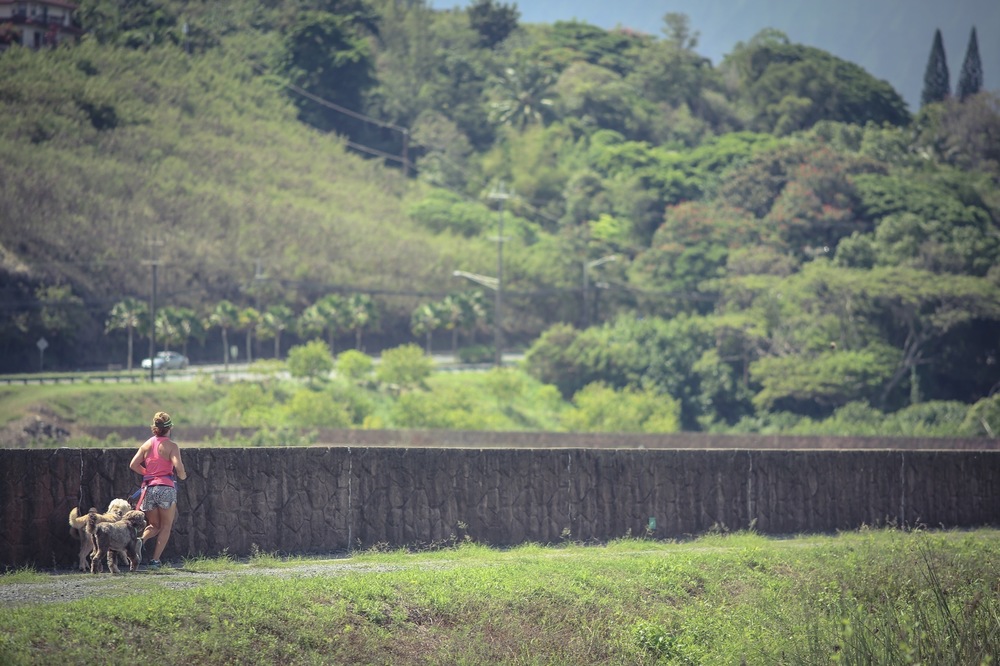 カイルアの秘境・カワイヌイ湿地の写真8