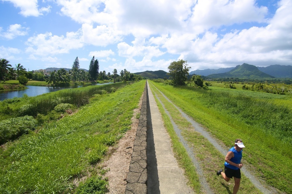 カイルアの秘境・カワイヌイ湿地の写真9