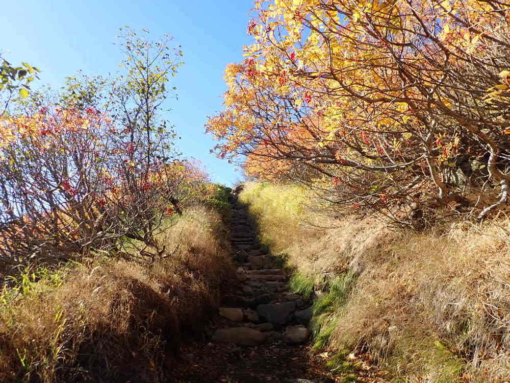 【入山規制解除】御嶽山 剣ヶ峰までの写真4