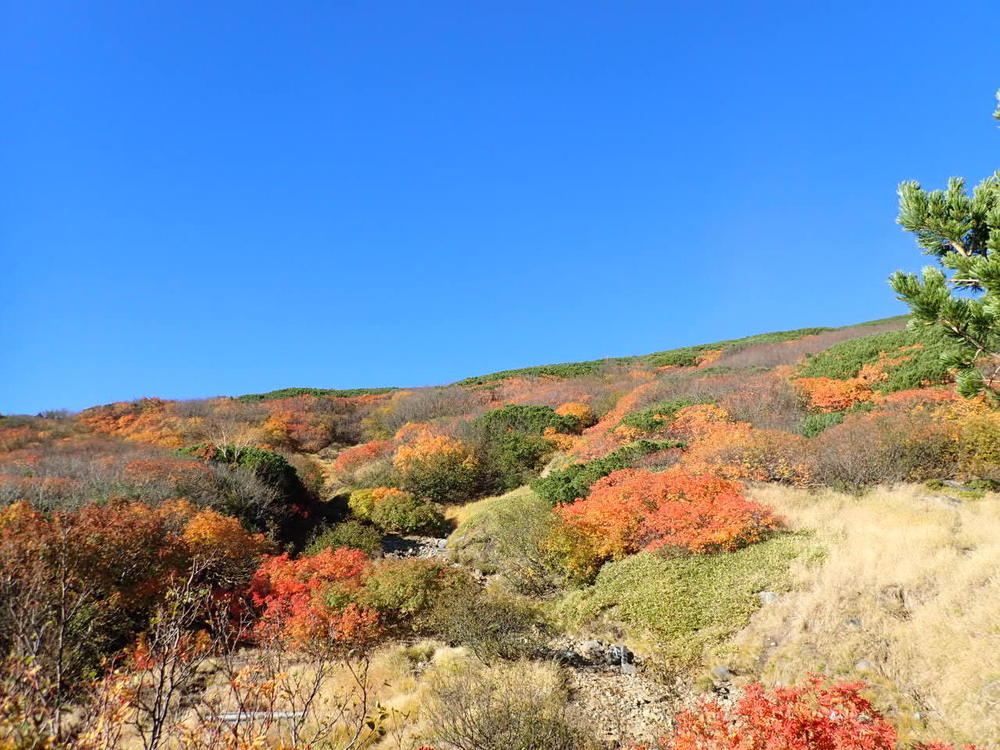 【入山規制解除】御嶽山 剣ヶ峰までの写真5