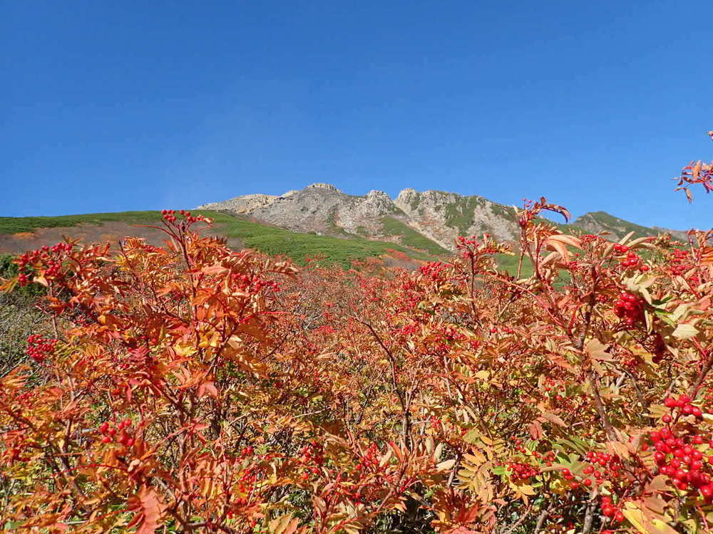【入山規制解除】御嶽山 剣ヶ峰までの写真6