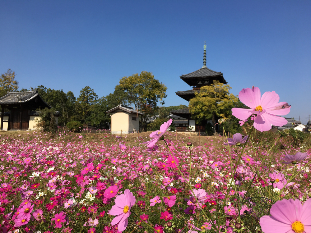 斑鳩三塔と龍田道の写真3