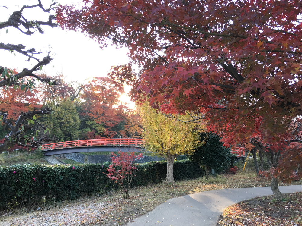 斑鳩三塔と龍田道の写真5